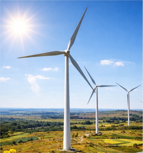 Estrategias Clave para un Futuro Sustentable